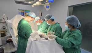 ‘Nữ hoàng’ không có đối thủ ở dòng phim cổ trang
